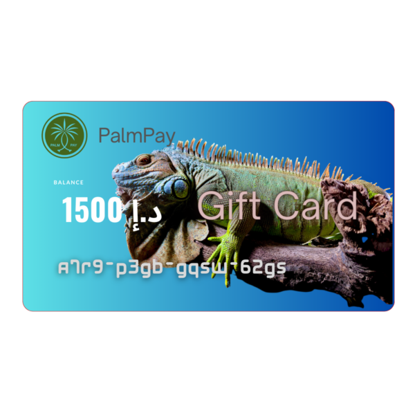 PalmPay Gift Card - Instant Delivery